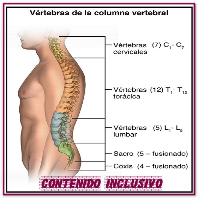 img- representa a la noticia publicada. 