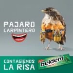 Imagen de WhatsApp 2025-07-14 a las 15.36.46_ee89f6fa